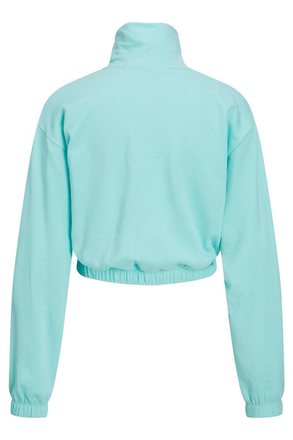 JXALFA REG LS EVERY ZIP SWEAT SWT NOOS - ΜΠΛΕ
