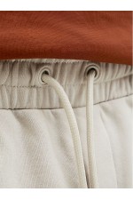 JPSTBRADLEY SWEAT SHORTS SN - ΜΠΕΖ