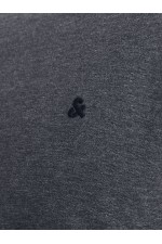 JJEPAULOS TEE SS CREW NECK NOOS PLS - ΓΚΡΙ