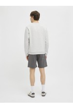 JREBBASE CREW NECK SWEAT - ΓΚΡΙ