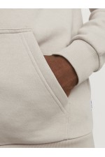 JJEBRADLEY SWEAT ZIP HOOD NOOS - ΜΠΕΖ