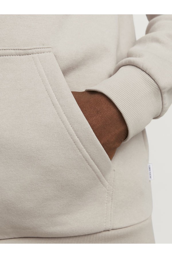 JJEBRADLEY SWEAT ZIP HOOD NOOS - ΜΠΕΖ
